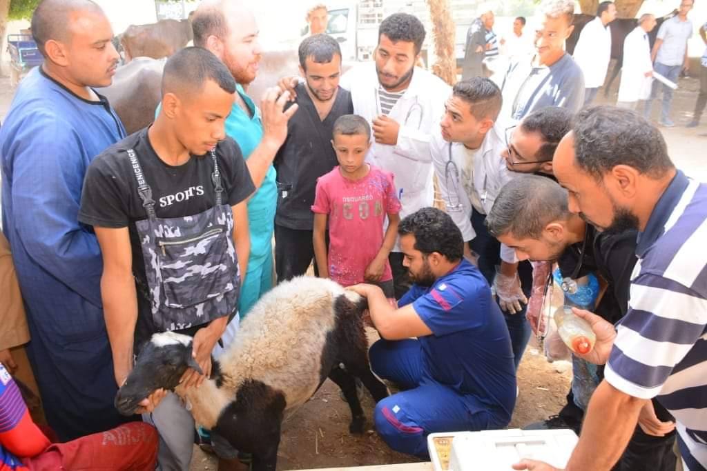 جامعة أسيوط تطلق قافلة بيطرية شاملة إلى قرية بهيج ضمن مبادرة رئيس الجمهورية "بداية جديدة" 1 FB IMG 1727867290186 جامعة أسيوط جامعة أسيوط تطلق قافلة بيطرية شاملة إلى قرية بهيج ضمن مبادرة رئيس الجمهورية "بداية جديدة" موقع في الجامعة