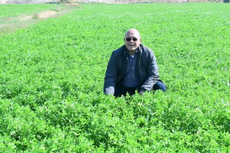 علي مساحه ٦٠ فدان..رئيس جامعة سوهاج يشارك فى زراعة القمح والشعير والبرسيم بمزرعة الكوثر 10 1732705169986 مطروح علي مساحه ٦٠ فدان..رئيس جامعة سوهاج يشارك فى زراعة القمح والشعير والبرسيم بمزرعة الكوثر موقع في الجامعة