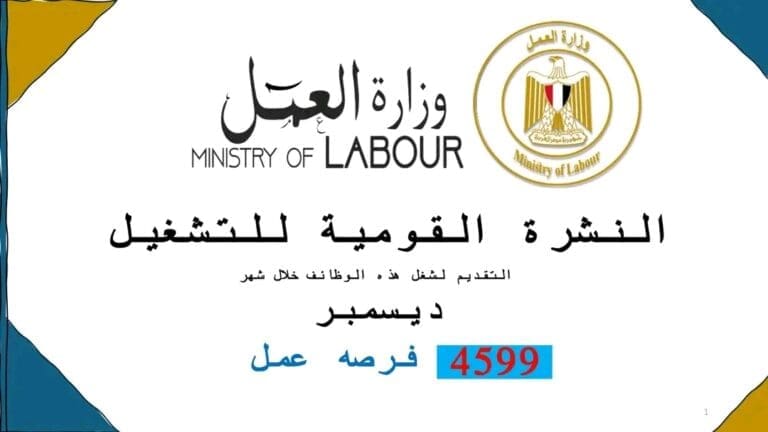 فرصة لخريجي المدارس والمعاهد الفنية.. 4599 وظيفة في 53 شركة في 10 محافظات