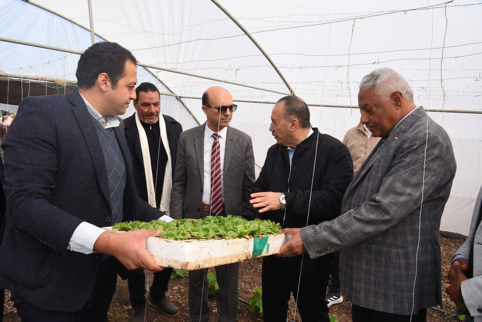 الدكتور المنشاوي واللواء الدكتور هشام أبو النصر يتفقدان المزارع والوحدات الإنتاجية المختلفة التابعة لكلية الزراعة بجامعة أسيوط 1 IMG 7482 أسيوط الدكتور المنشاوي واللواء الدكتور هشام أبو النصر يتفقدان المزارع والوحدات الإنتاجية المختلفة التابعة لكلية الزراعة بجامعة أسيوط موقع في الجامعة
