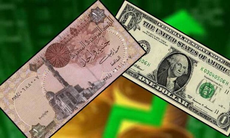بعدما تجاوز سعره 50 جنيه رسميًا.. أستاذ اقتصاد: سعر الدولار لن يتحرك أكثر ولكن سيؤثر على أسعار السلع 21 الجنيه الدولار تعويم الجنيه هواوي بعدما تجاوز سعره 50 جنيه رسميًا.. أستاذ اقتصاد: سعر الدولار لن يتحرك أكثر ولكن سيؤثر على أسعار السلع موقع في الجامعة