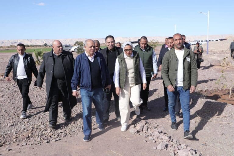 نائب محافظ الوادي الجديد تبحث إنشاء أول مدرسة تكنولوجيا تطبيقية زراعية-صور 27 محافظ الوادي الجديد 1 في الجامعة نائب محافظ الوادي الجديد تبحث إنشاء أول مدرسة تكنولوجيا تطبيقية زراعية-صور موقع في الجامعة