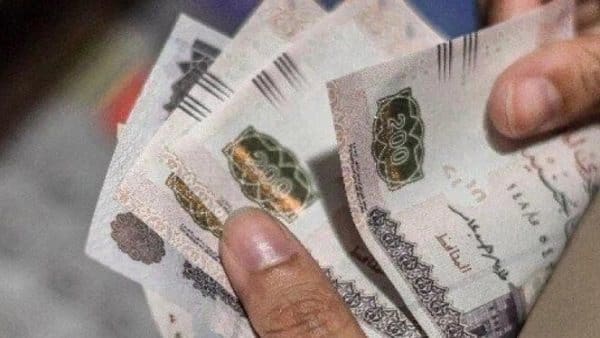 أستاذ جامعي يكشف عن تحديات تنفيذ قرار زيادة الحد الأدنى للأجور إلى 7000 جنيه 1 185 أستاذ جامعي يكشف عن تحديات تنفيذ قرار زيادة الحد الأدنى للأجور إلى 7000 جنيه موقع في الجامعة