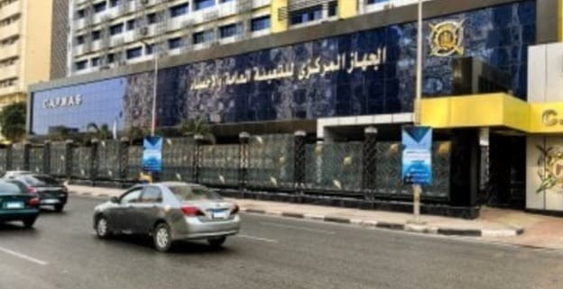 الإحصاء: الإناث تمثلن 48.6% من عدد سكان مصر بـ 52.2 مليون نسمة 1 الجهاز المركزي