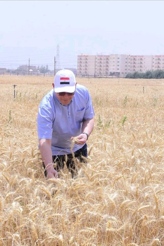 علي مساحة ٢٢ فدان.. النعماني يشهد بدء موسم حصاد تقاوي القمح بمزرعة جامعة سوهاج