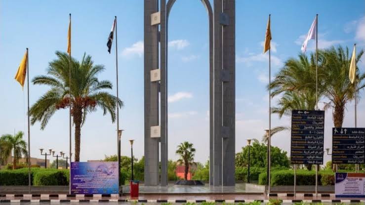 جامعة حلوان تطلق المعرض الثقافي الأول: "رحلة لاكتشاف المعرفة عبر الممشى الثقافي" 11 IMG 8620 الخولي جامعة حلوان تطلق المعرض الثقافي الأول: "رحلة لاكتشاف المعرفة عبر الممشى الثقافي" موقع في الجامعة