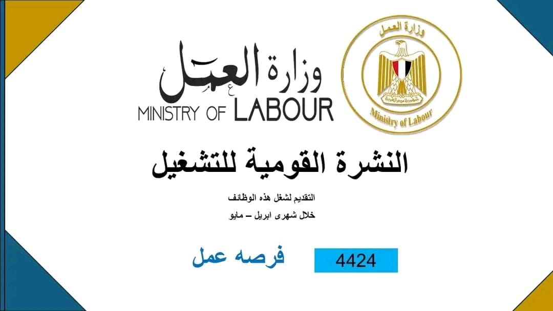 للخريجين.. 4424 وظيفة في 72 شركة خاصة بـ12 محافظة 1 1746434981125 وظيفة للخريجين.. 4424 وظيفة في 72 شركة خاصة بـ12 محافظة موقع في الجامعة