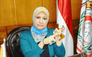 الدكتورة كوثر محمود نقيب التمريض وعضو مجلس الشيوخ