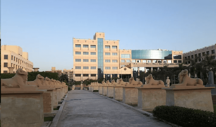 جامعة 6 أكتوبر .. المصروفات وأوراق التقديم كاملة 2025 7 جامعة 6 أكتوبر
