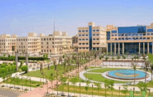 الطب بـ176 ألف.. تعرف على مصروفات جامعة 6 أكتوبر 2025 / 2026 2 جامعة 6 أكتوبر