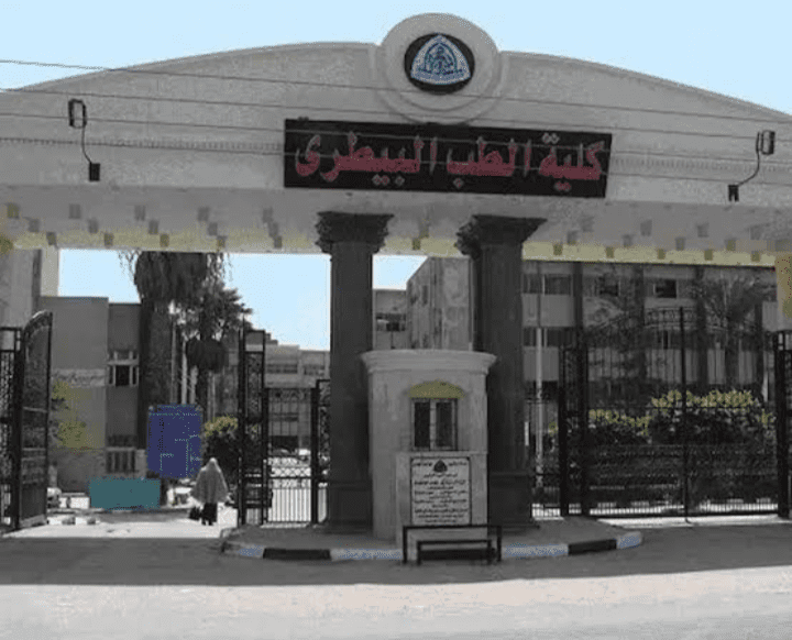 تعرف على أقسام ومواد كلية الطب البيطري لطلاب الثانوية 2025 17 تعرف على أقسام ومواد كلية الطب البيطري لطلاب الثانوية 2025