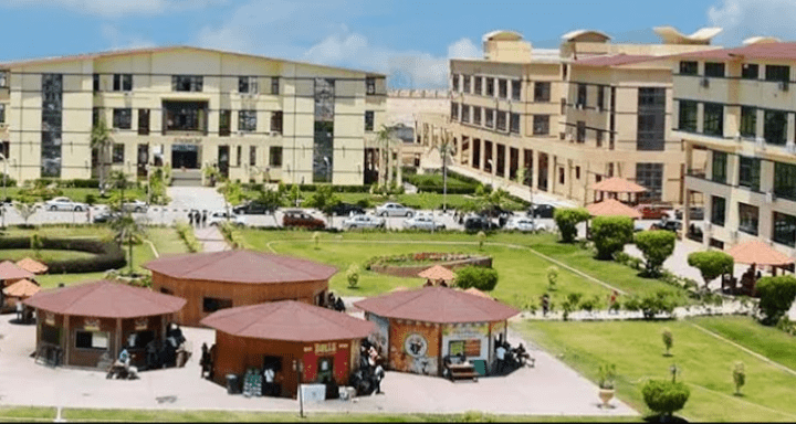 قدم الأن.. جامعة الدلتا للعلوم والتكنولوجيا تعلن حاجتها إلى أعضاء هيئة التدريس في 10 كليات 1 جامعة الدلتا للعلوم والتكنولوجيا