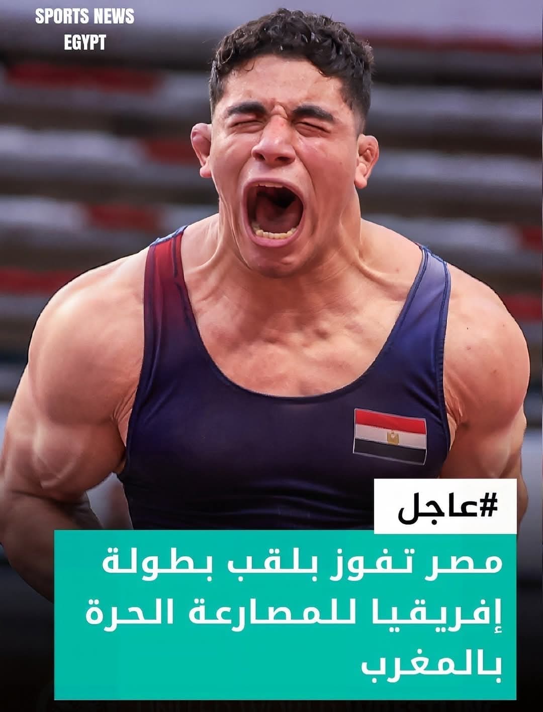 طالب جامعة حلوان الأهلية يفوز بميدالية ذهبية في بطولة إفريقيا للمصارعة الحرة 1 f17d1ef3 fbbb 4637 a513 859fa0e21c91 جامعة حلوان طالب جامعة حلوان الأهلية يفوز بميدالية ذهبية في بطولة إفريقيا للمصارعة الحرة موقع في الجامعة