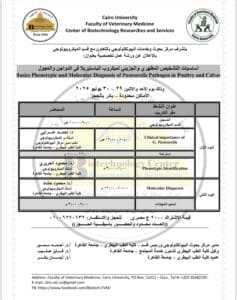 بخصم 50%.. تفاصيل دورات التشخيص المعملي الكتيربولوجي بطب بيطري القاهرة 2 دورات كلية الطب البيطري جامعة القاهرة