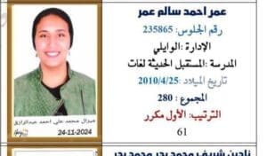 صور البنات مكان الأولاد.. خطأ في قائمة أوائل إعدادية القاهرة 2025 يثير الجدل بين أولياء الأمور - صور 5 أسماء أوائل إعدادية القاهرة 2025