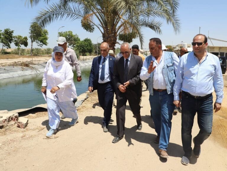رئيس المركز القومي للبحوث يتفقد مزرعة النوبارية لمتابعة مشروعات الإنتاج الزراعي والحيواني 2 IMG 20250624 WA0017 البحوث رئيس المركز القومي للبحوث يتفقد مزرعة النوبارية لمتابعة مشروعات الإنتاج الزراعي والحيواني موقع في الجامعة