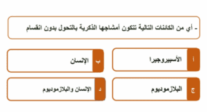 أهم النقاط والرسومات في الأحياء.. مراجعة ليلة الامتحان للثانوية العامة 2025 6 مراجعة ليلة الامتحان الأحياء للثانوية العامة 2025