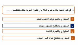 أهم النقاط والرسومات في الأحياء.. مراجعة ليلة الامتحان للثانوية العامة 2025 7 مراجعة ليلة الامتحان الأحياء للثانوية العامة 2025