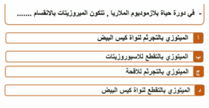 أهم النقاط والرسومات في الأحياء.. مراجعة ليلة الامتحان للثانوية العامة 2025 8 مراجعة ليلة الامتحان الأحياء للثانوية العامة 2025