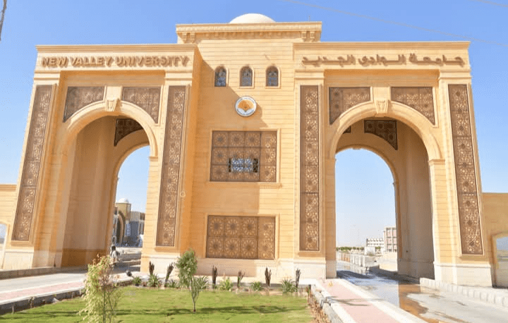 جامعة الوادي الجديد الأهلية.. خطوة جديدة نحو تعليم جامعي عصري 1 جامعة الوادي الجديد