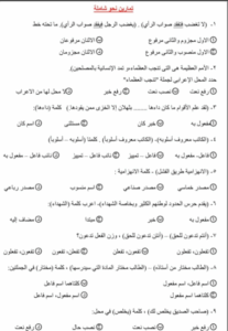 قبل ساعات من امتحان اللغة العربية.. مراجعة النحو للثانوية العامة 2025 ونماذج تدريبية 3 نماذج امتحانات نحو ثانوية عامة 2025