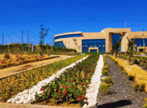 مصاريف جامعة الملك سلمان 2025.. الكليات المتاحة وشروط القبول ورابط التقديم 6 جامعة الملك سلمان