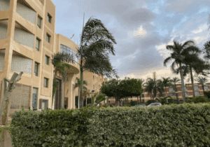 مصروفات وشروط التقديم في جامعة مصر الدولية 2025.. دليلك الكامل للالتحاق 2 مصروفات الدراسة في جامعة مصر الدولية 2025