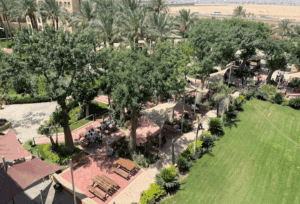 مصروفات وشروط التقديم في جامعة مصر الدولية 2025.. دليلك الكامل للالتحاق 3 كيفية التقديم في جامعة مصر الدولية 2025