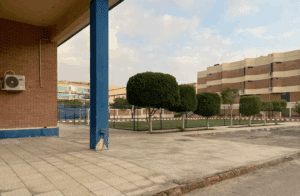 مصروفات وشروط التقديم في جامعة مصر الدولية 2025.. دليلك الكامل للالتحاق 4 الأوراق المطلوبة للتقديم بجامعة مصر الدولية 2025
