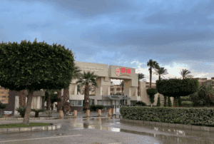 مصروفات وشروط التقديم في جامعة مصر الدولية 2025.. دليلك الكامل للالتحاق 5 كليات جامعة مصر الدولية 2025
