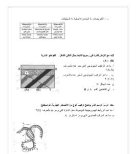 لطلاب الثانوية 2025.. أكثر من 40 سؤالا متوقع في مادة الأحياء 14 Screenshot ٢٠٢٥٠٦١٢ ١٢١٤١٧ Chrome الثانوية لطلاب الثانوية 2025.. أكثر من 40 سؤالا متوقع في مادة الأحياء موقع في الجامعة