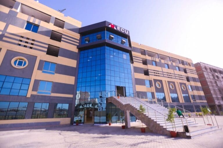 الجامعة المصرية الصينية ضمن افضل 1000 في العالم بتصنيف التايمز البريطاني للتنمية المستدامة لعام 2025 31 nasercity 1024x683 1 تعاون مثمر الجامعة المصرية الصينية ضمن افضل 1000 في العالم بتصنيف التايمز البريطاني للتنمية المستدامة لعام 2025 موقع في الجامعة