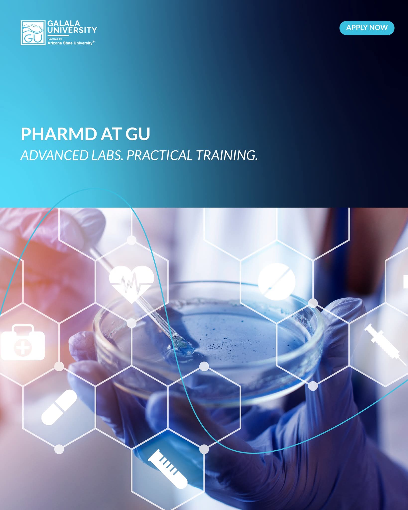 جامعة الجلالة تطلق برنامج دكتور الصيدلة (PharmD) لتأهيل أجيال جديدة من الصيادلة المتخصصين 1 FB IMG 1752925327592 جامعة الجلالة جامعة الجلالة تطلق برنامج دكتور الصيدلة (PharmD) لتأهيل أجيال جديدة من الصيادلة المتخصصين موقع في الجامعة