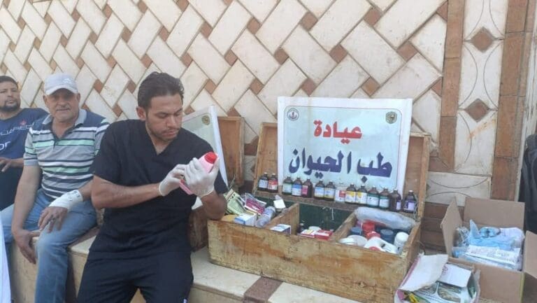 بيطري جامعة سوهاج تواصل إطلاق قوافلها الطبية البيطرية وتعالج 890 حيوانًا الحواويش البحرية 14 FB IMG 1753351569008 هندسة بيطري جامعة سوهاج تواصل إطلاق قوافلها الطبية البيطرية وتعالج 890 حيوانًا الحواويش البحرية موقع في الجامعة