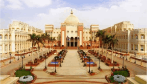 دليلك للتقديم في الجامعة البريطانية بمصر 2025.. المصاريف والتخصصات وشروط القبول 5 شروط القبول في الجامعة البريطانية 2025