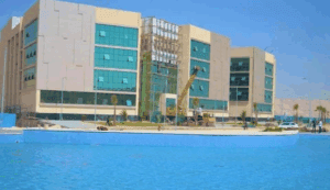 الكليات والمصروفات والأوراق المطلوبة وشروط القبول بجامعة ميريت | إليكم التفاصيل 4 شروط التقديم في جامعة ميريت 2025