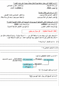 مراجعة نهائية مهمة قبل امتحان الأحياء لطلاب علمي بالثانوية العامة 2025 9 مراجعة نهائية لمادة الأحياء للثانوية العامة 2025