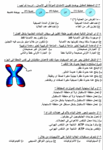 مراجعة نهائية مهمة قبل امتحان الأحياء لطلاب علمي بالثانوية العامة 2025 4 مراجعة نهائية لمادة الأحياء للثانوية العامة 2025