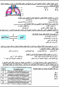 مراجعة نهائية مهمة قبل امتحان الأحياء لطلاب علمي بالثانوية العامة 2025 3 مراجعة نهائية لمادة الأحياء للثانوية العامة 2025