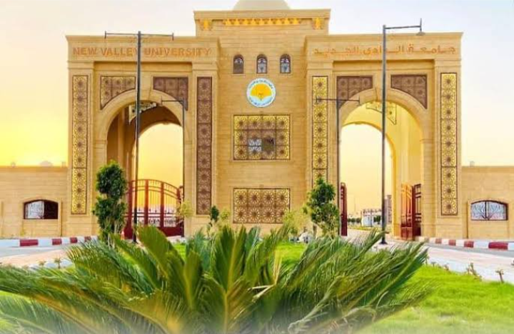 إليكم الأن.. أهم البرامج الدراسية في جامعة جنوب الوادي الأهلية2025 1 تعرف على مصروفات جامعة جنوب الوادي الأهلية 2025